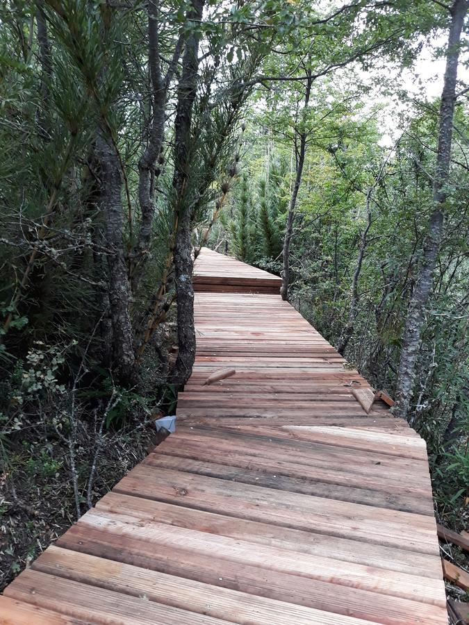 Parque Amavida Villa Malalcahuello Exteriör bild
