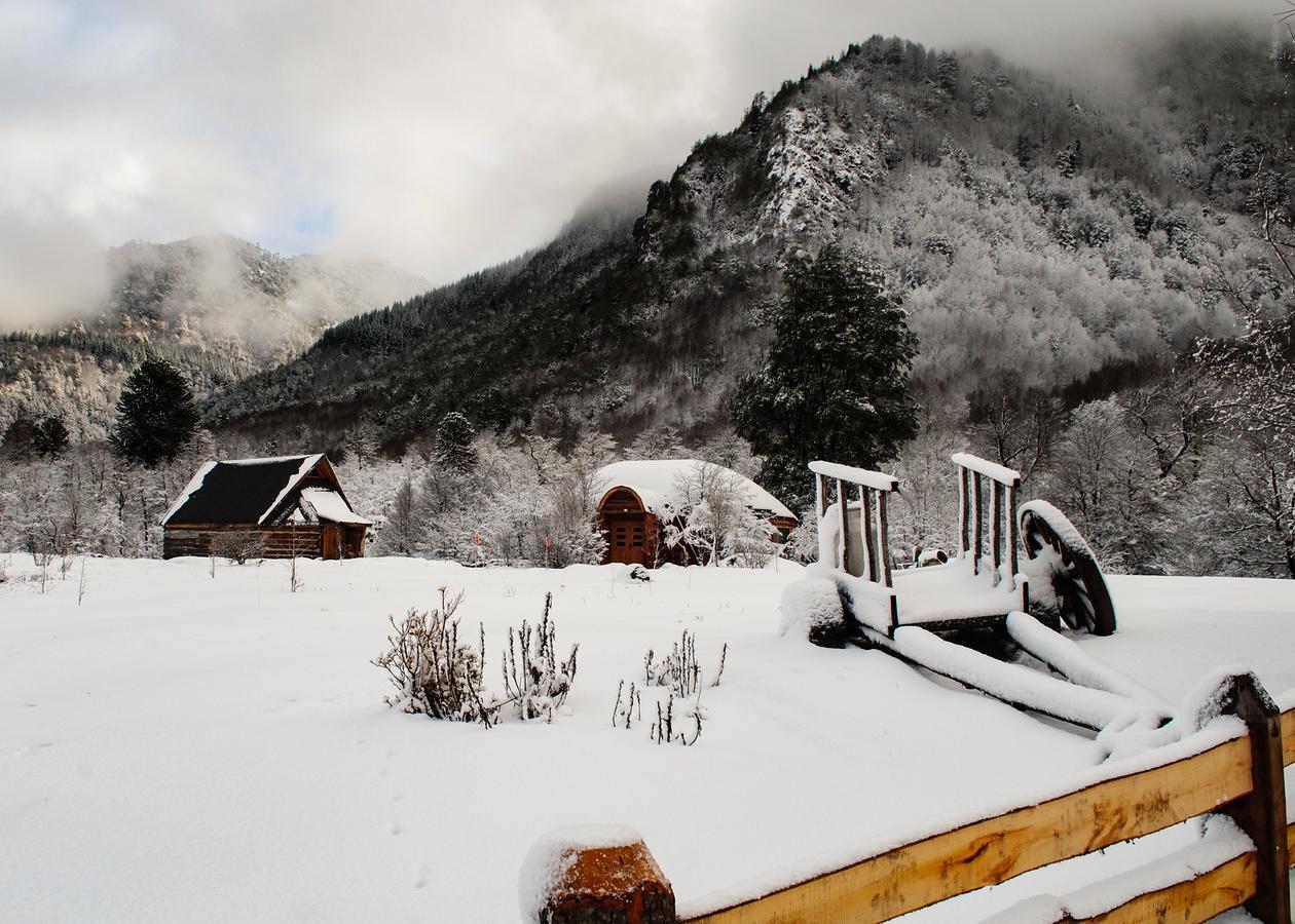 Parque Amavida Villa Malalcahuello Exteriör bild