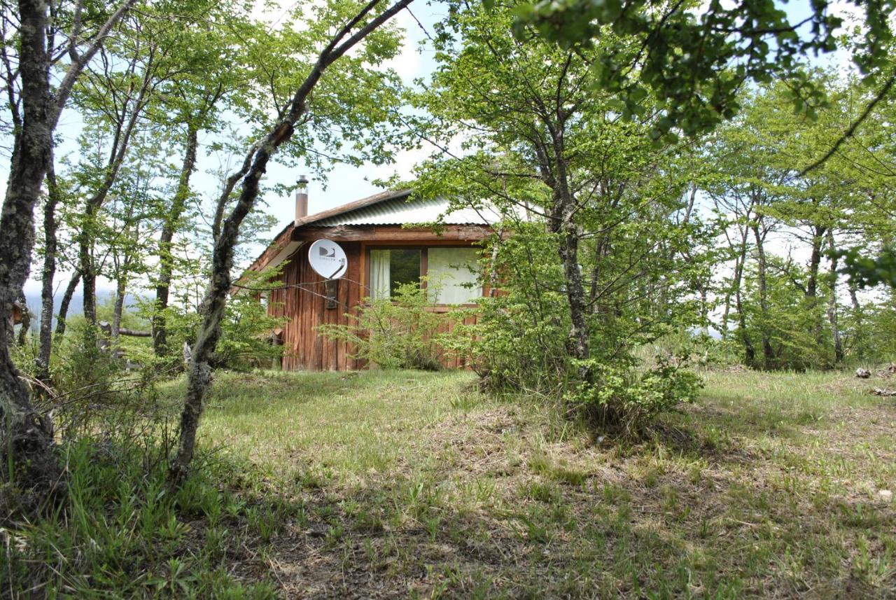 Parque Amavida Villa Malalcahuello Exteriör bild